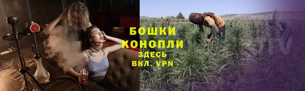 ПСИЛОЦИБИНОВЫЕ ГРИБЫ Осинники
