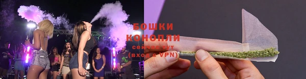 PSILOCYBIN Зеленодольск