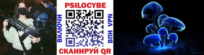 дарк нет клад  Кола  Галлюциногенные грибы мухоморы 